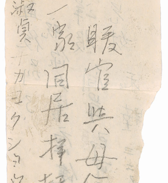 Read more about the article 遺書（十二）