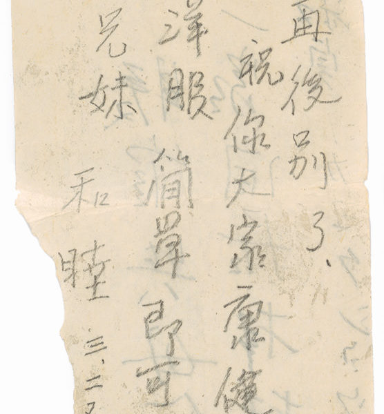 Read more about the article 遺書（十三）