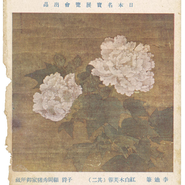 Read more about the article 紅白木芙蓉（其二）