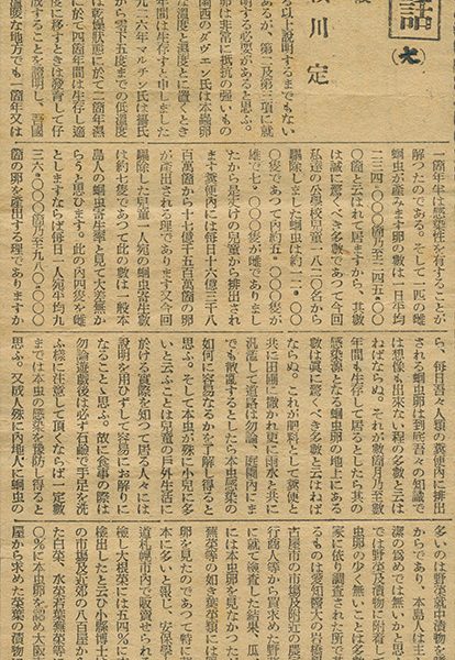 Read more about the article 蛔蟲（七）