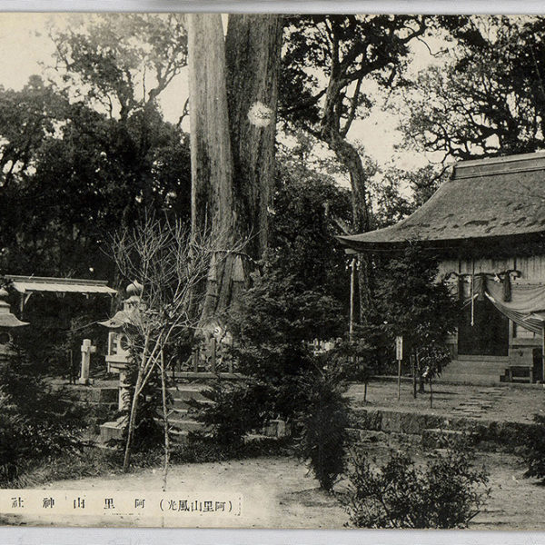 Read more about the article 阿里山的風光：阿里山神社